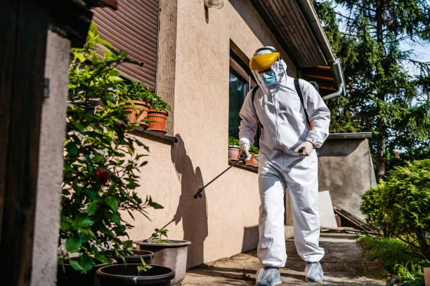 Best Best Pest Control Companies  in St Clair, MI