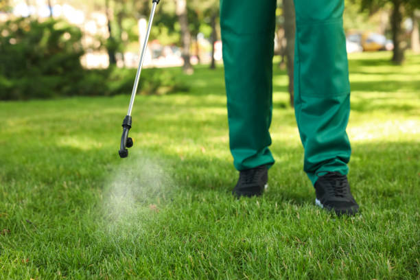 Best Pest Removal Services  in St Clair, MI