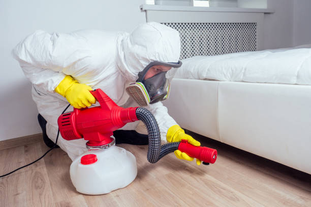 Best Rat Extermination Near Me  in St Clair, MI