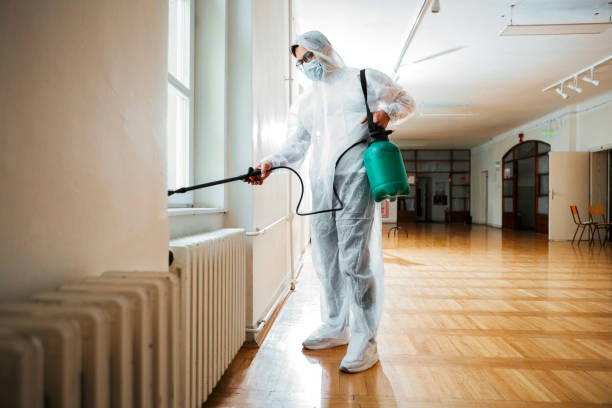 Best Wasp Removal Services  in St Clair, MI
